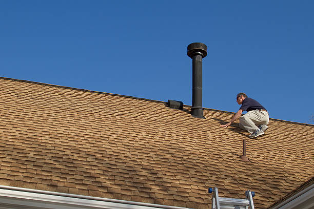 Best Roof Moss and Algae Removal  in Hapeville, GA